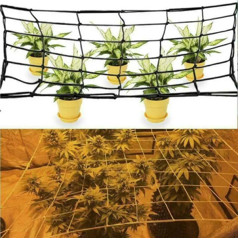 Versatile Garden Trellis Netting for Climbing Plants and Hydroponics