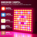 1000W Full Spectrum LED Grow Light for Indoor Plants: Veg and Bloom