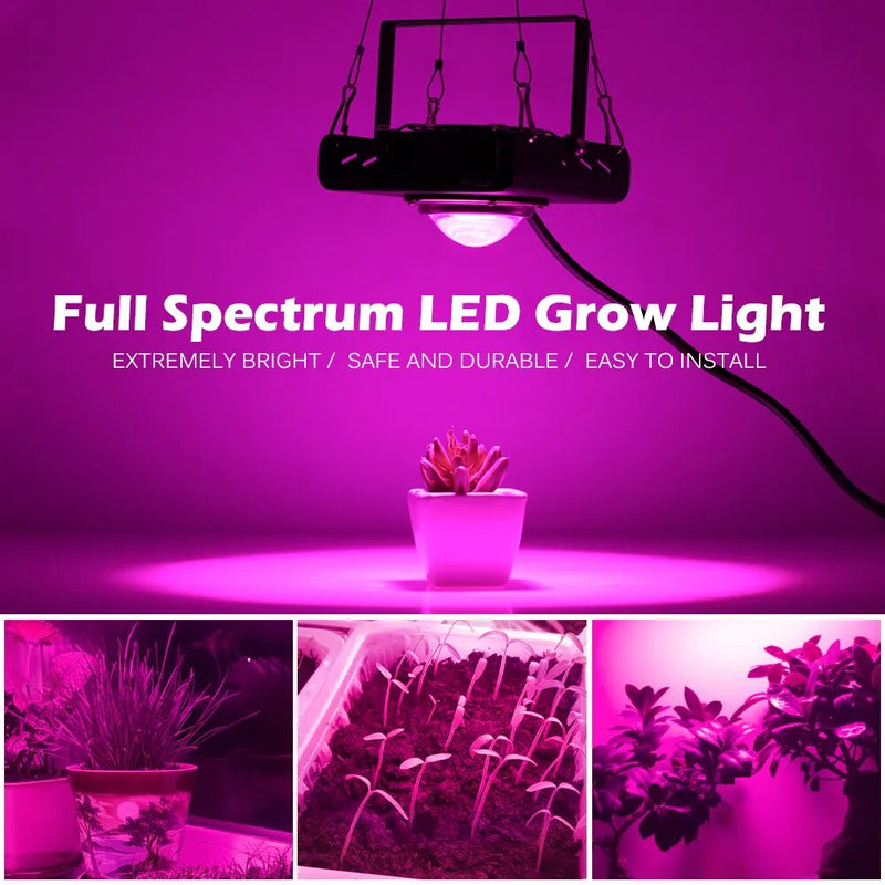 500W Full Spectrum LED Grow Light: Ideal for Indoor Plant Growth (220V)