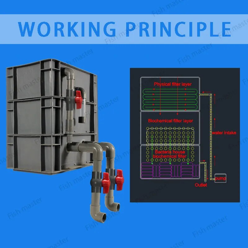 DIY Turtle Tank with Integrated Fish and Vegetable Filter