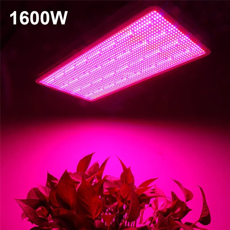 High-Power Full Spectrum LED Grow Lights: 1600W, 1200W, 800W, 600W, 300W