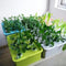 6-Hole Hydroponic Garden Pots System: Indoor Grow Kit (1 Set, 220V/110V)