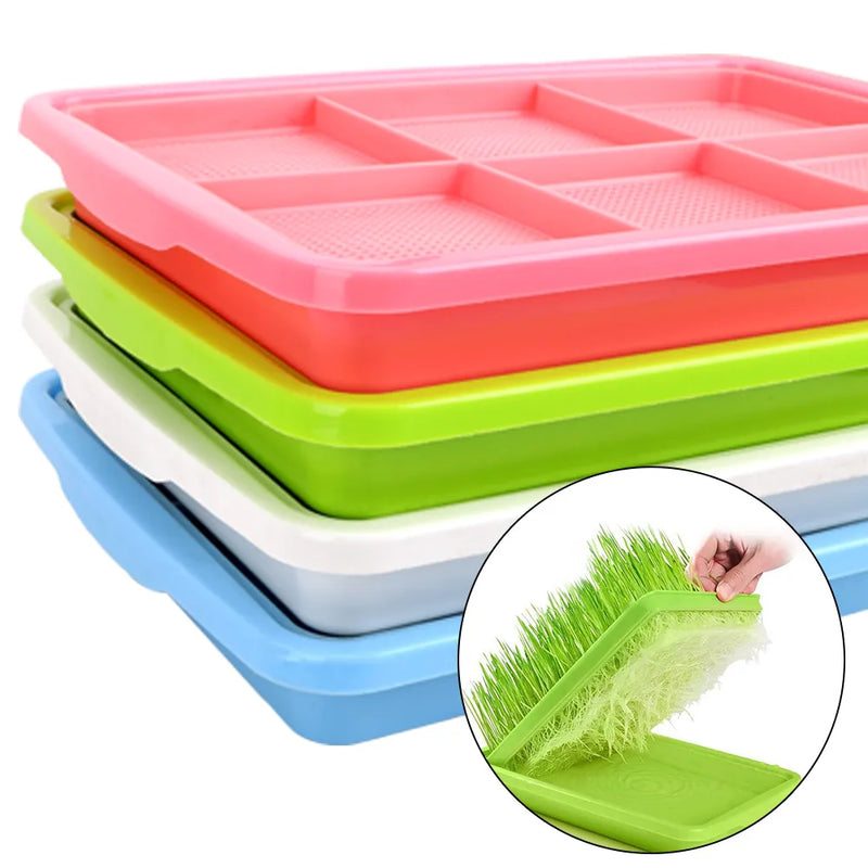 2-Layer Planting Dishes: Ideal for Bean Sprouts and Seedlings (Hydroponic)