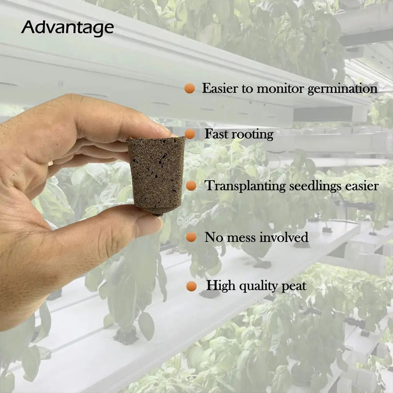 Hydroponic Seedling Sponges: Boost Plant Growth (10/30Pcs)