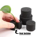 Hydroponic Sponge for Soilless Cultivation: 20/100Pcs Black Growing Media