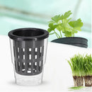 10PCS Black Hydroponic Net Cups: Ideal for Aeroponics and Soilless Culture