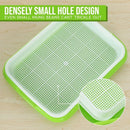 Durable Plastic Sprouting Tray for Hydroponic Gardening