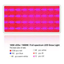 High-Power Full Spectrum LED Grow Lights: 1600W, 1200W, 800W, 600W, 300W