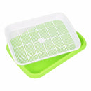 Durable Plastic Sprouting Tray for Hydroponic Gardening