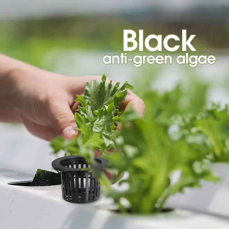 10PCS Black Hydroponic Net Cups: Ideal for Aeroponics and Soilless Culture