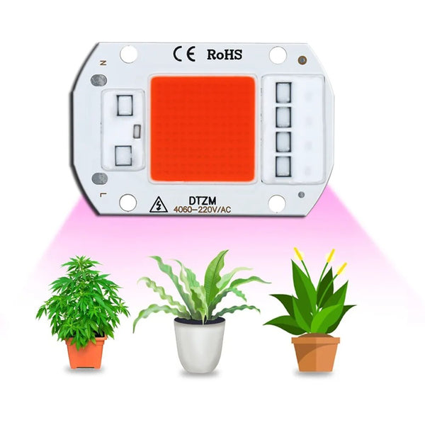 1Pcs Hydroponic Full Spectrum COB LED Grow Light Chip: 10W-50W (AC220V)