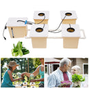 Hydroponics Drip Growing System 5 Sites Dutch Buckets w/ Lids & Submerged Pump Hydroponics Drip Growing System