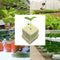 100pcs Ventilated Rock Wool Cubes: Ideal for Hydroponic Seedling Growth