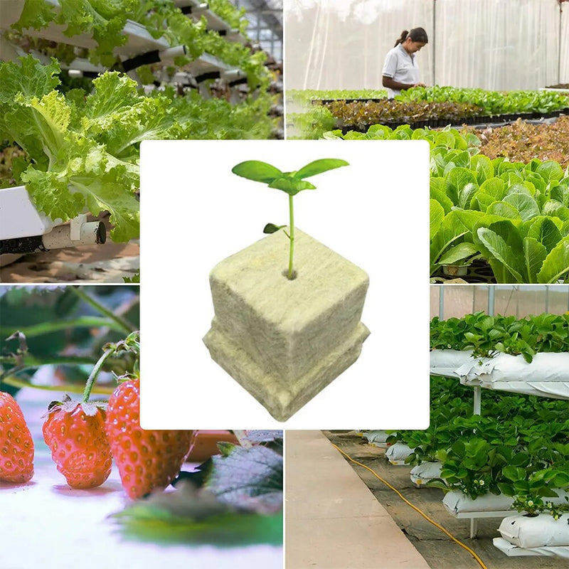 100pcs Ventilated Rock Wool Cubes: Ideal for Hydroponic Seedling Growth