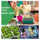 5 Pcs Seed Starter Trays with Grow Lights: Perfect for Home Greenhouse Planting