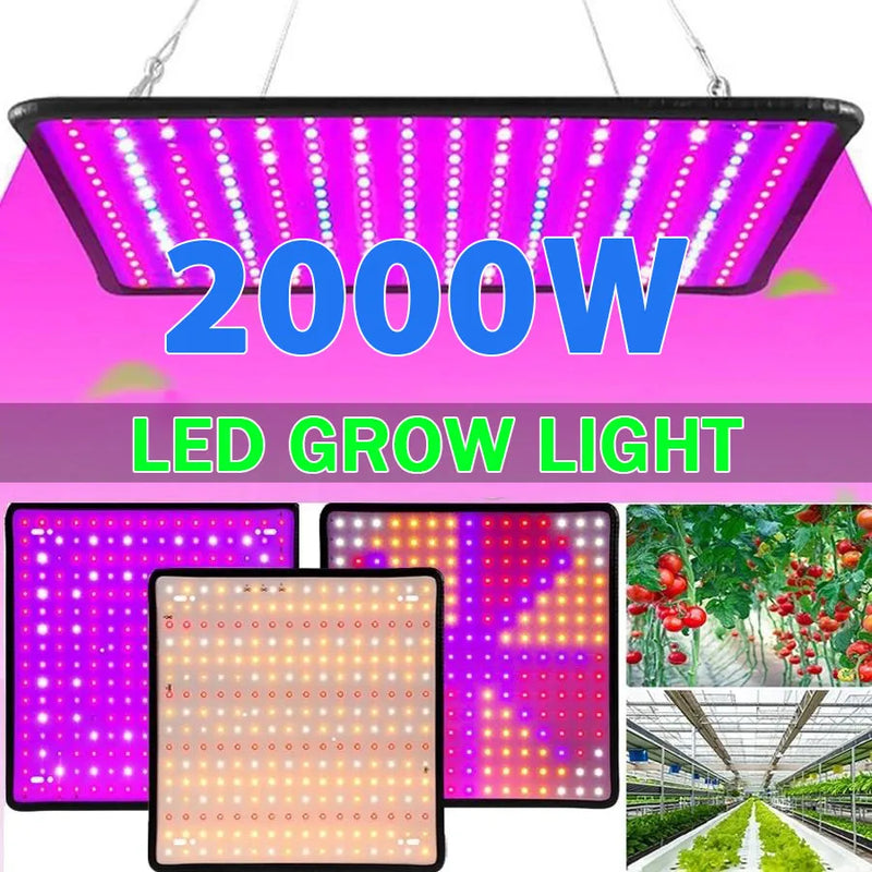 LED Plant Grow Light 1000W/2000W Full Spectrum Hydroponic Growing Lamp Plants Phyto Veg Flower Indoor Ultrathin Panel Phytolamp