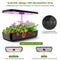 Hydroponics Growing System 12 Pods Indoor Herb Garden Kit Automatic Timing LED Grow Lights Smart Water Pump for Home Flower Pots