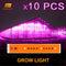 10 PCS Full Spectrum LED Grow Chips: Ideal for Indoor Plants (30W/50W/80W)