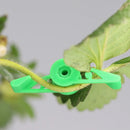 Plant Branch Bender Clips: 360° Adjustable Stem Trainer for Low Stress Training (10-100PCS)