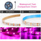 Solar LED Grow Light Strip: Full Spectrum for Hydroponic Plant Growth