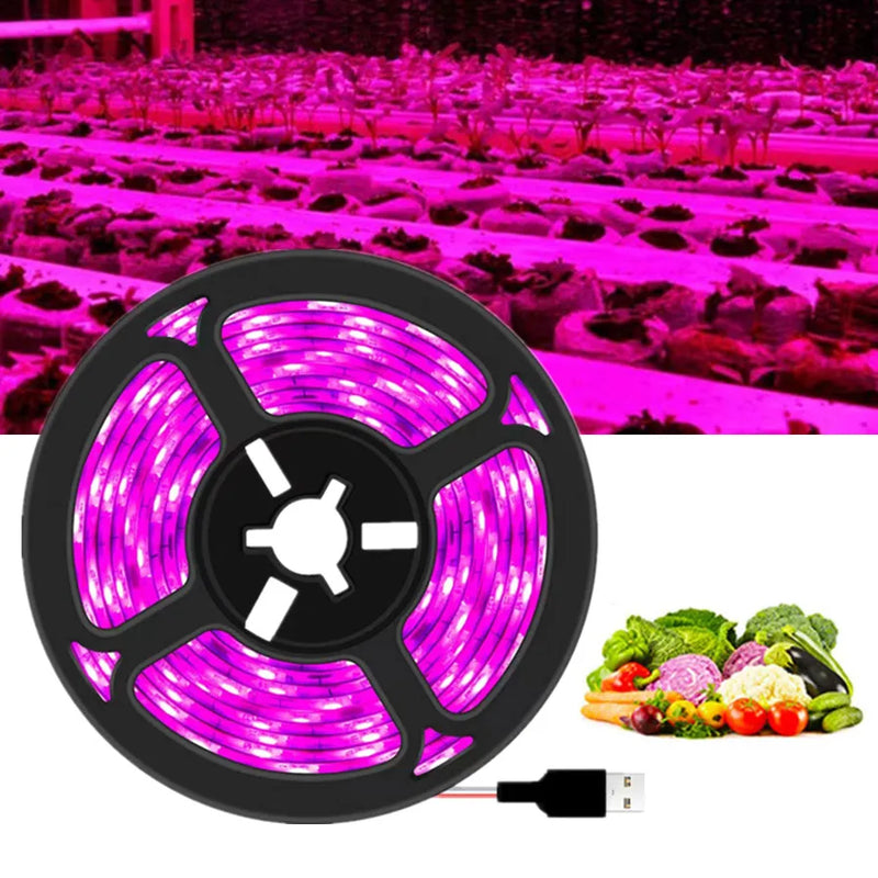 USB LED Grow Light: Full Spectrum for Seedlings & Grow Tents (DC 5V)