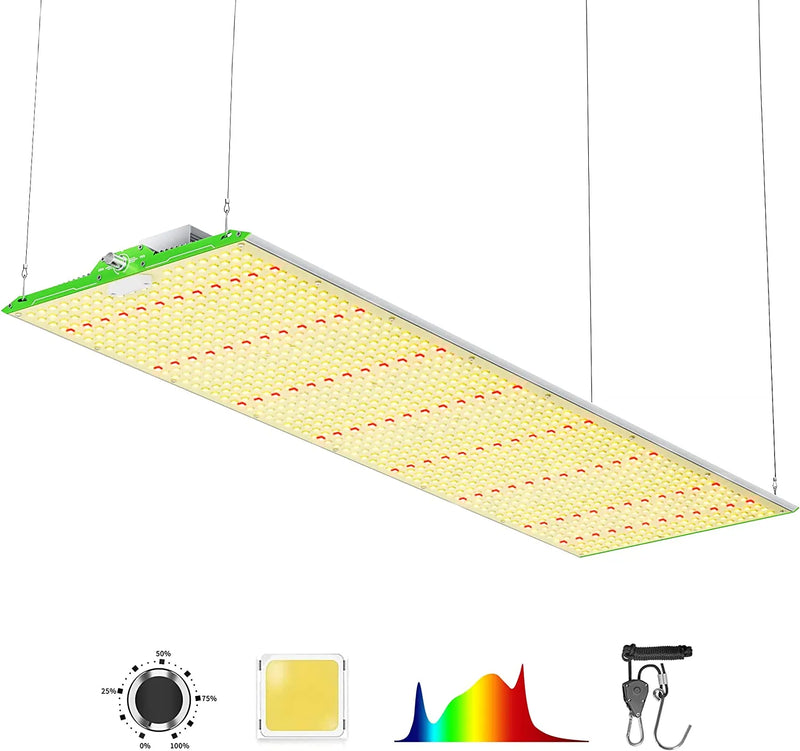 BestVA Dimmable Phytolamp: 1000W-4000W for Greenhouse and Hydroponics