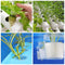 Hydroponic Sponge for Soilless Cultivation: 20/100Pcs Black Growing Media