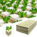 100pcs Ventilated Rock Wool Cubes: Ideal for Hydroponic Seedling Growth