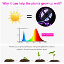 Solar LED Grow Light Strip: Full Spectrum for Hydroponic Plant Growth