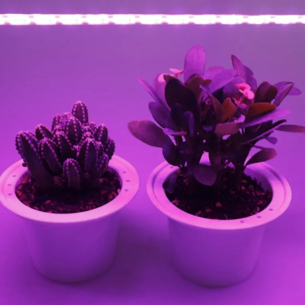 USB LED Grow Light: Full Spectrum for Seedlings & Grow Tents (DC 5V)