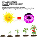 USB LED Grow Light: Full Spectrum for Seedlings & Grow Tents (DC 5V)