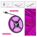 Solar LED Grow Light Strip: Full Spectrum for Hydroponic Plant Growth