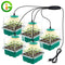 5 Pcs Seed Starter Trays with Grow Lights: Perfect for Home Greenhouse Planting