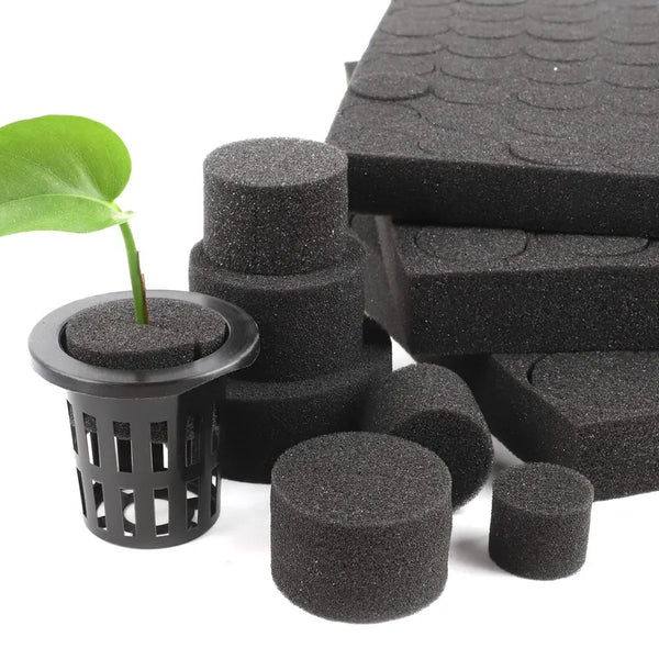 Hydroponic Sponge for Soilless Cultivation: 20/100Pcs Black Growing Media