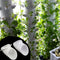 DIY Balcony Strawberry Hydroponic Planter Guide