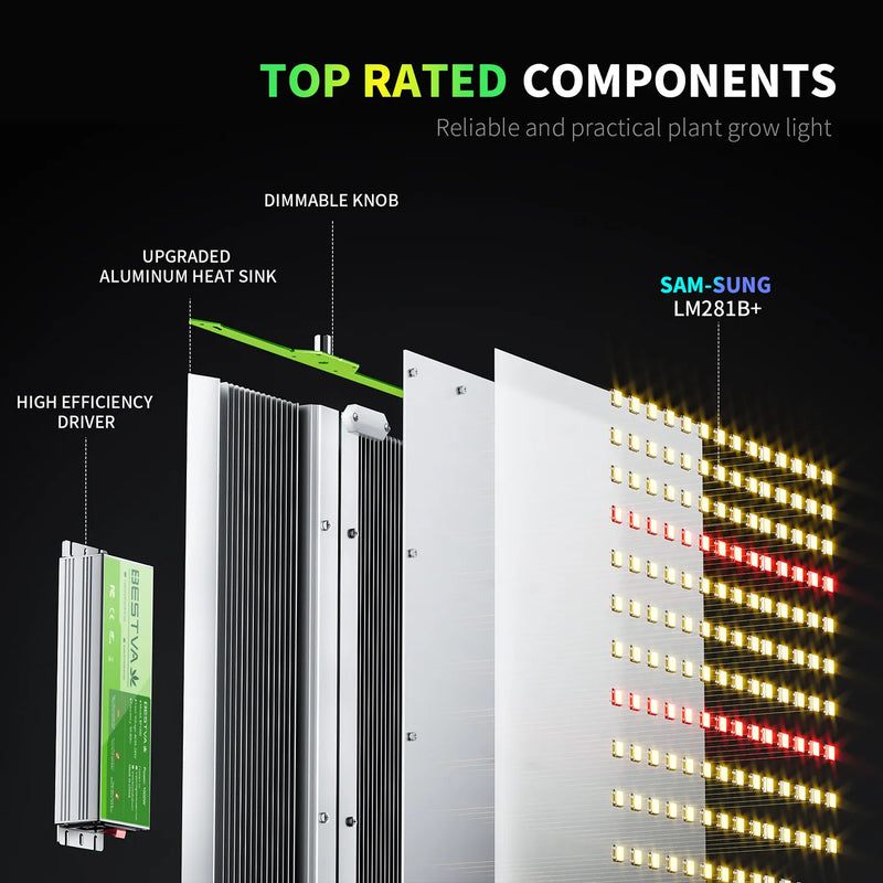 BestVA Dimmable Phytolamp: 1000W-4000W for Greenhouse and Hydroponics