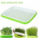 Durable Plastic Sprouting Tray for Hydroponic Gardening