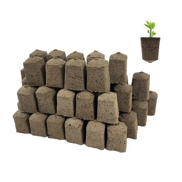 Hydroponic Seedling Sponges: Boost Plant Growth (10/30Pcs)