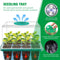 5 Pcs Seed Starter Trays with Grow Lights: Perfect for Home Greenhouse Planting